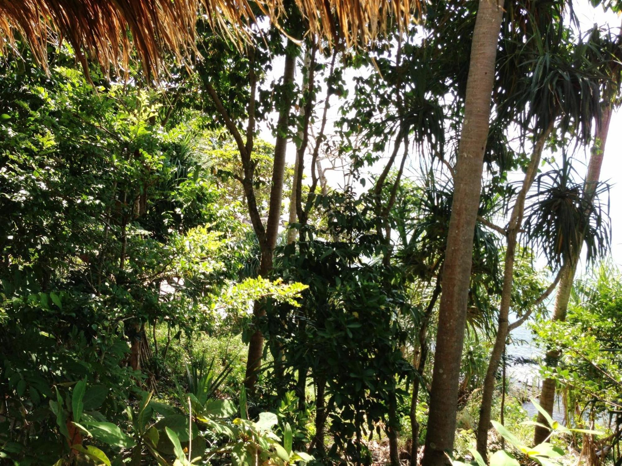 The Narima - Sha Plus Ko Lanta Exteriér fotografie