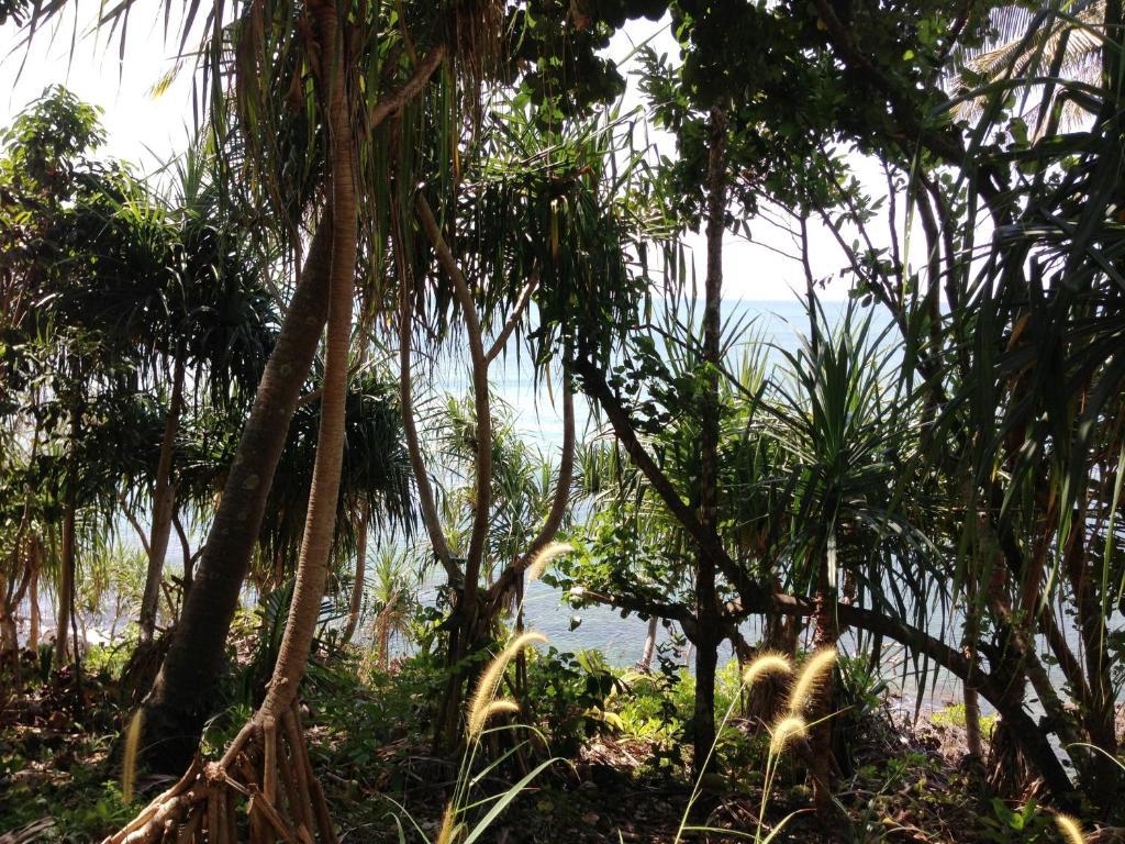 The Narima - Sha Plus Ko Lanta Exteriér fotografie